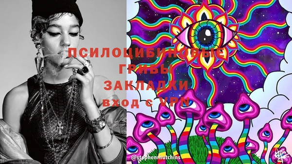 PSILOCYBIN Алексеевка
