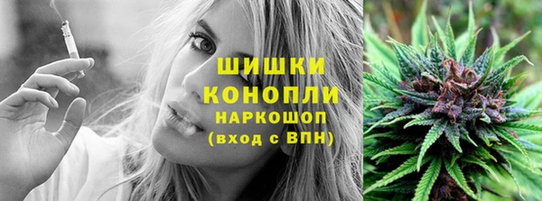 PSILOCYBIN Алексеевка