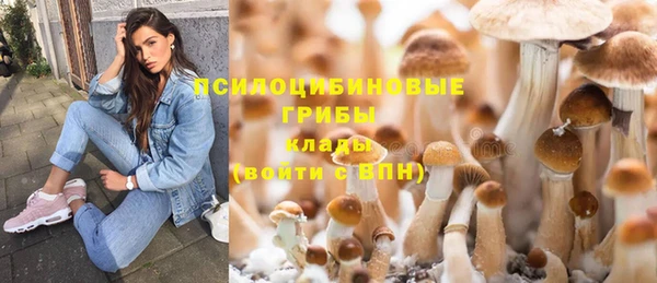 прущая мука Алзамай