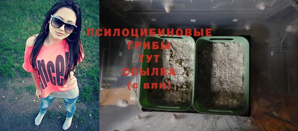 PSILOCYBIN Алексеевка
