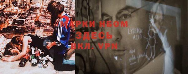 PSILOCYBIN Алексеевка
