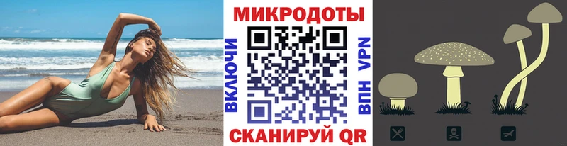 где купить   kraken ТОР  Псилоцибиновые грибы Cubensis  Аткарск 